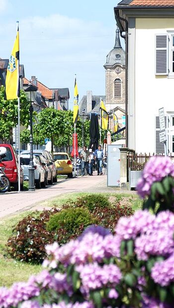 Fahnenschmuck in Bad Arolsen in der Perspektive